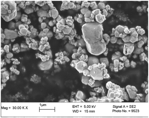 Figure 3. An SEM image of irregular tungsten powder (Sauter mean diameter: 0.49 μm).