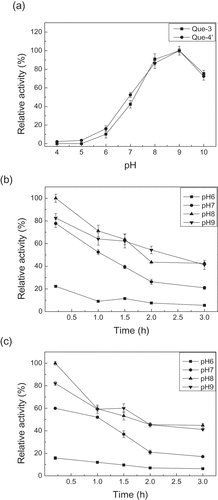 Figure 2. pH effect on the enzyme activity (a), and the enzyme stability for producing quercetin-3-O-glucoside (b) and quercetin-4′-O-glucoside (c). Que-3, Quercetin-3-O-glucoside; Que-4′, quercetin-4′-O-glucoside.