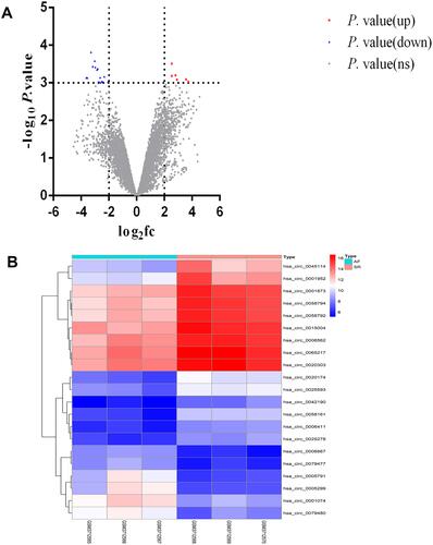 Figure 1 Volcano plots and heatmap for differentially expressed circular RNAs (DECs) between patients with AF and healthy controls. (A) The volcano plots in the current study; the X-axis represents the value of log2 fold change(fc), while the Y-axis represents the value of –log p value. (B) The heatmap in current study; color from blue to red indicated low to high representation value.