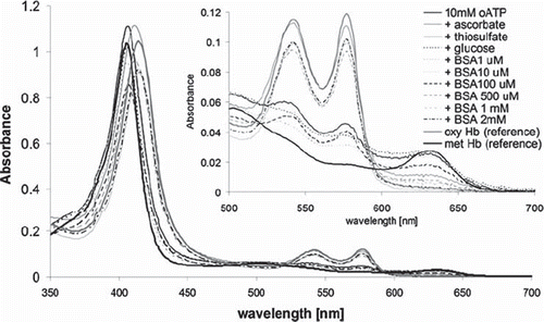 Figure 1. UV-vis spectra of hemoglobin derivatized with oATP in the presence of various antioxidants; also shown for reference are spectra of underivatized oxy and met Hb. The spectra of derivatized samples are obtained by diluting equal amounts of each sample into 1 mL PBS. The concentrations of the oxy, met, and hemichrome forms (in this order, shown in parentheses, in micromolar) in each sample, calculated from Winterbourn equations as detailed in the Methods section, are as follows: 10 mM oATP (0.9, 7.0, 0.3), ascorbate (7.2, 2.9, 0.1), thiosulfate (6.8, 0.3, 0.0), glucose (0.0, 7.3, 0.9), 1 μM BSA (0.0, 6.6, 0.4), 10 μM BSA (0.4, 7.2, 0.4), 100 μM BSA (1.2, 4.9, 0.3), 500 μM BSA (5.8, 2.2, 0.0), 1 mM BSA (4.9, 1.2, 0.0), 2 mM BSA (6.7, 0.7, 0.0).