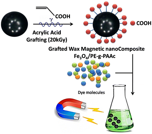 Scheme 1. The grafting procedure using gamma irradiation techniques in the design of safe polymer–metal nanocomposites (PE-g-PAAc)/Fe3O4 with magnetic property for safe dye removal.