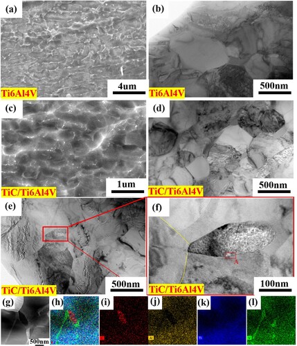 Figure 8. Microstructure of the SLM-formed Ti6Al4 V and TiC/Ti6Al4 V composites at 900°C, 1s−1 strain rate and 60% deformation: (a-b) Ti6Al4 V; (e-f) TiC/Ti6Al4 V composites; (g-l) precipitated phase TiC surface scan element distribution map.