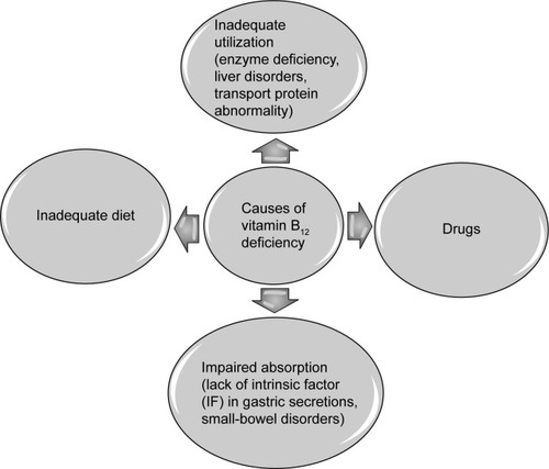 Figure 1 Factors which cause vitamin B12 absorption disturbances.