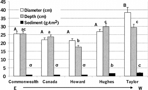 FIGURE 3. Diameter (cm), depth (cm), and sediment mass (g/cm2) (mean ± standard error) of cryoconite holes of Commonwealth (Common), Canada, Howard, Hughes, and Taylor glaciers. Different letters indicate significant differences at P ≤ 0.05. Capital letters relate to differences in diameter, lowercase letters to differences in depth, and italic letters to differences in sediment mass