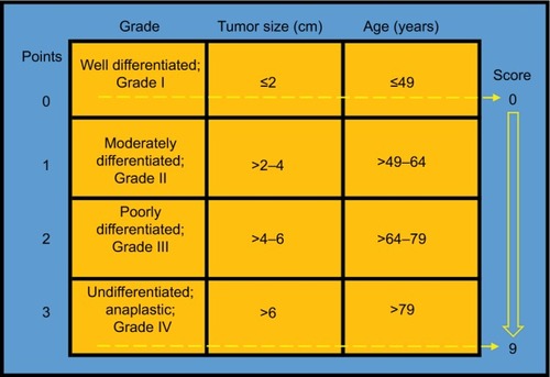 Figure 2 Patient prognostic score in patients with colon cancer: risk stratifications.