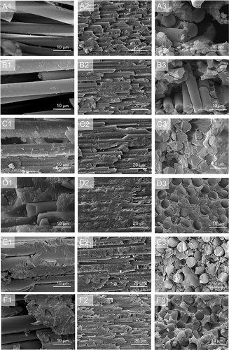 Figure 8 (A1–F1): The fracture surface of fiber-reinforced composite made of group (A–F) fibers after three-point bending (×5000); (A2–F2): Representative SEM results (longitudinal views) of the fiber-reinforced composite made of group (A–F) fibers (×2000); (A3–F3): Representative scanning electron photomicrographs (cross-sectional views) of the fiber-reinforced composite made of group (A–F) fibers (×5000).
