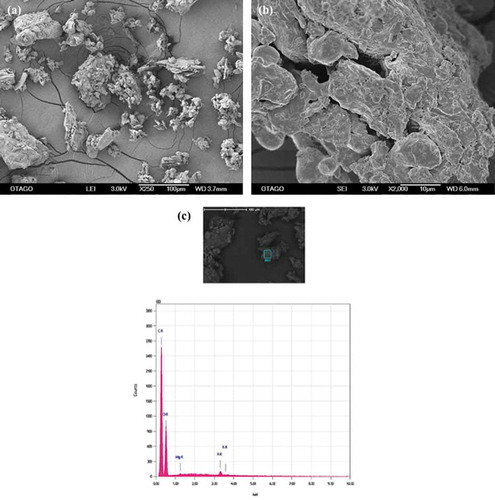 Figure 1. SEM-EDS images of apple peel particles. (a) micrograph at 250X (b) micrograph at 2000X (c) spectrogram showing C, O and K.