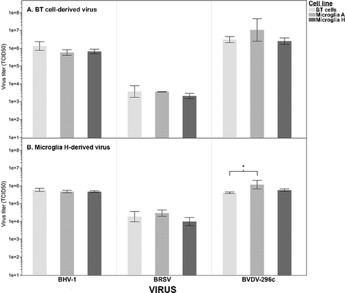 Figure 1. Virus titration as measured on bovine turbinate (BT) cells and two sublines of immortalized sheep microglia. Both microglial sublines are permissive to BoHV-1, BRSV, and BVDV. (A) BT cells and two sublines of sheep microglia were inoculated with BoHV-1, BRSV, and BVDV that were propagated in bovine turbinate cells. No significant differences in permissibility were detected, as measured by the TCID50 calculated on the differing cell types (one-way ANOVA, α = .05). (B) The same cells were inoculated with the same viruses as in (A), which were first propagated in microglial subline H. Only one statistical difference (BVDV: BT cells vs. Microglia A) in relative TCID50 was detected (*one-way ANOVA, Tukey post hoc, P = .02, α = .05). However, the magnitude of difference was small with the microglial cell line being slightly more permissive to BVDV.