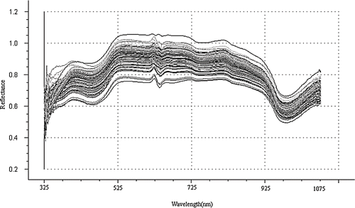 Figure 1 Reflectance spectra of one hundred and sixty yogurt samples.