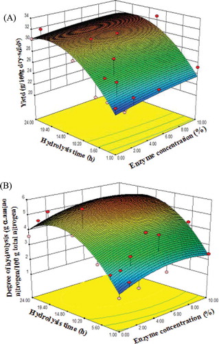 Figure 1. Response surfaces for the effect of enzyme concentration and hydrolysis time on (A) yield (g/100 g dry-solids) and (B) degree of hydrolysis of HUPSB (g α-amino nitrogen/100 g total nitrogen).