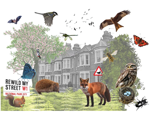 Transforming urban streets for wildlife - logo from Rewild My Street.