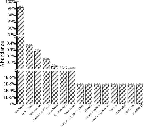 Figure 1. Proportion of various bacteria in the enrichment culture.