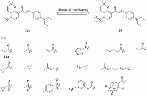 Figure 9. Benzopyran-chalcone compounds of 14.