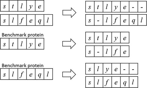 Figure 3. The processing of alignment results. The residues corresponding to the gaps in the alignment results of the benchmark protein will be deleted.