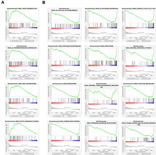 Figure 8 The result of gene set enrichment analysis. (A) GSEA showed that tumor-associated pathways were significantly enriched in the high-risk CRC patient group. (B) GSEA showed that the pyroptosis-associated metabolic pathways were enriched in the low-risk group.