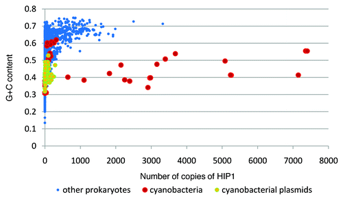 Figure 2 Number of copies of HIP1 vs. GC-content content per replicome.