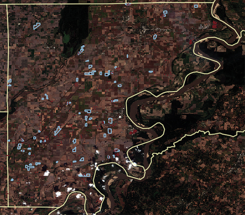 Figure 4. For the Fall 2019 harvest period, the blue polygons illustrate burned fields delineated from 10 m Sentinel-2 data and red points illustrate active fires detected by VIIRS active fire product for both NOAA-20 and NPP satellites provided by the NASA fire information for Resource management System in Mississippi County, AR (Schroeder, Citation2020; NASA FIRMS; https://earthdata.nasa.gov/firms).