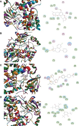 Figure 2 Molecular interactions between XKB, MDZ, KTZ, and probucol and human CYP3A4.