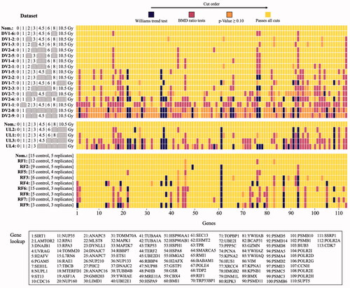Figure 4. Filter selection criteria status of 113 genes relevant to 5 pathways associated with DNA repair and cell death. Each column represents a single gene, with each row corresponding to a specific dataset of the DV (top panel), UL (middle panel) and RF (bottom panel) experimental categories. The rows within each panel are ordered from top to bottom in descending order by the number of successfully modeled genes.