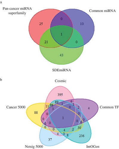 Figure 6. Overlap between common regulators and pan-cancer signatures. (a) A Venn diagram showing the overlap between common miRNAs and two pan-cancer miRNAs datasets, namely pan-cancer miRNA superfamily and SDEmiRNA. (b) A Venn diagram showing the overlap between common TFs and four pan-cancer gene datasets, namely Cosmic, Cancer5000, Netsig5000 and IntOGen.