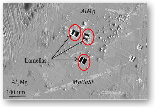 Figure 5. SEM micrograph shows the selected areas of interest for the subsequent APT analysis.