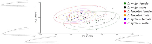 Figure 3. Results of PCA of bill shapes for the lateral view. Grey lines represent bill shape for the principal component.