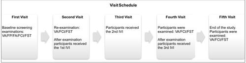 Figure 1 Visit schedule with ophthalmological examinations and intravitreal injections at all visits.