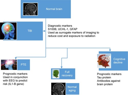 Figure 3 Summary of blood biomarkers used in TBI.