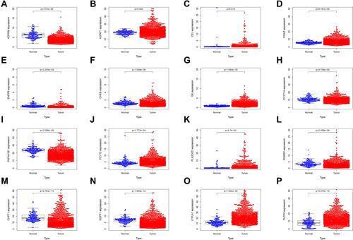 Figure 6 The mRNA expression level of 16 LMGs in TCGA. (A) ADPRM expression (B) AGPAT1 expression (C) CEL expression (D) DGKZ expression (E) ENPP6 expression (F) CHKB expression (G) GK expression (H) PCYT1A expression (I) PAFAH1B1 expression (J) PCYT2 expression (K) PLA2G2D expression (L) SGMS2 expression (M) CHPT1 expression (N) SGPP1 expression (O) LYPLA1 expression (P) PLPP2 expression.