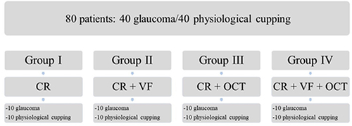 Figure 1 Study protocol fluxogram for the entire sample.