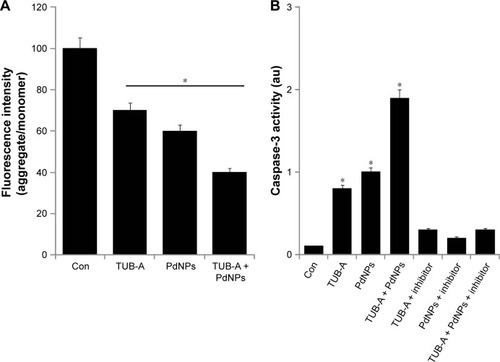 Figure 8 Effects of TUB-A, PdNPs, or a combination of both on the mitochondrial membrane potential and caspase-3 activity.Notes: The cells were treated with TUB-A (4 μM), PdNPs (4 μM), or a combination of both (at 4 μM each) for 24 h. (A) Determination of ΔΨm (ratio of JC-1 aggregate to monomer) in treated breast cancer cells. (B) Cells treated with TUB-A (4 μM), PdNPs (4 μM), or a combination of both (at 4 μM each) for 24 h, with and without caspase inhibitor. The concentration of P-nitroanilide released from the substrate was calculated from the absorbance at 405 nm. The results are expressed as mean ± standard deviation of three separate experiments. The treated groups showed statistically significant differences from the control group, as determined by Student’s t-test (*P<0.05).Abbreviations: Con, control; TUB-A, tubastatin-A; PdNPs, palladium nanoparticles.