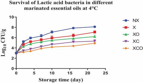 Figure 5. Population increase of Lactic acid bacteria (log10 CFU/g ± SEM) in different marinated essential oils samples after storage for 0, 2, 4, 7, 10, 16, and 22 days at 4°C. NX-Non marinated, X- Marinated, XO- Marinated +Oregano oil, XC- Marinated +Citrox, XCO- Marinated + Citrox+ Oregano oil.