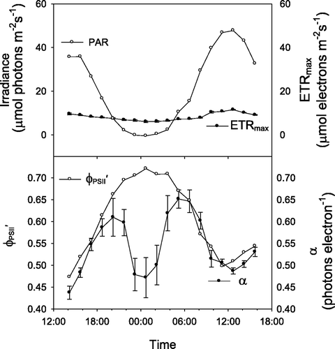 Fig. 4. Diel changes in photosynthetic parameters of Iridaea sp. and irradiance in a high light ice-free environment derived from light response curves conducted every 90 min, where ETRmax represents the maximum rate of electron transport, α represents the initial slope of the PE curve, and represents the effective quantum yield of PSII energy conversion. Error bars are standard deviations.