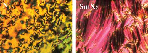 Figure 4. (Colour online) The textures obtained using the polarised optical microscope for CBO5O.s4 in (left) the nematic, and (right) the smectic X2 phase.