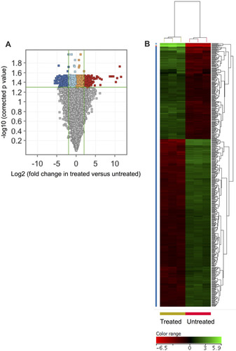 Figure 2 A transcriptomic signature was associated with ZnO NPs-treated K562 cells. Volcano plot shows differentially expressed genes (DEGs: FC≥4; p≤0.008; corrected p≤0.05) in the ZnO NPs-treated K562 cells versus untreated K562 cells (A). Hierarchical cluster analysis with heatmap presentation was performed on the DEGs (B). The color range represents the normalized signal value of probes (log2 transformation and 75 percentile shift normalization).
