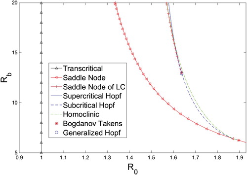 Figure 3. R0-Rb bifurcation diagram for system (Equation10(10) I˙=βh(A)(1−I)I−γI,A˙=αI(1−A)A2δ2+A2−ξA.(10) ) when δ=0.55 created with the MATLAB MatCont package, and XPPAUT. The homoclinic curve was created using a bisection method.