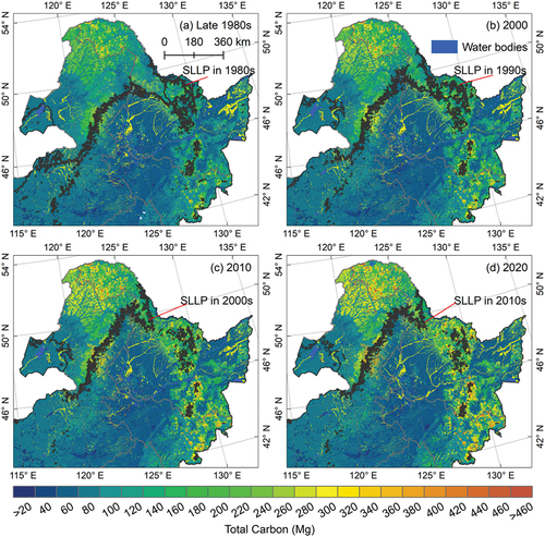 Figure 4. Multi-period (late 1980s/2000/2010/2020) total carbon stock in Northeast China. Note: SLLP stands for the southern limit of latitudinal permafrost.