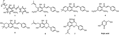 Figure 1. Chemical structures of compounds 1–7 isolated from the Humulus lupulus L.