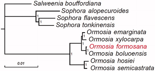 Figure 1. Phylogenetic tree constructed using 70 protein-coding genes from the complete chloroplast genome sequences of six Ormosia species and four other species within the Papilionoideae. The numbers beside the node indicate Bayesian posterior probability.