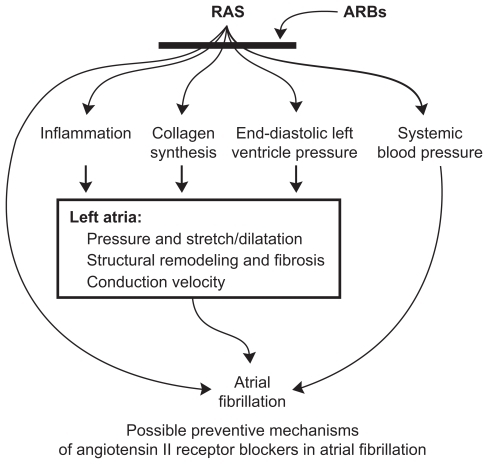 Figure 1 Possible preventive mechanisms of ARBs in atrial fibrillation. Reproduced with permission from Aksnes T, Flaa A, Strand A, et al. Prevention of new-onset atrial fibrillation and its predictors with angiotensin II receptor blockers in the treatment of hypertension and heart failure. J Hypertens. 2007;25:15–23.Citation51 Copyright © wolters Kluwer Health.