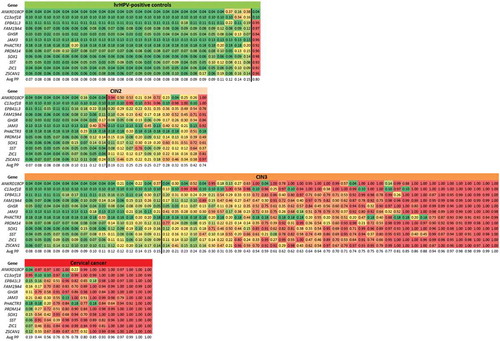 Figure 3. DNA methylation signature of 12 genes in hrHPV-positive cervical scrapings. Predicted probabilities are shown for 12 genes in the different histological subgroups and colored from green (predicted probability of 0) to red (predicted probability of 1). In each group, samples are ordered based on their average predicted probability (Avg PP). The black line indicates the cut-off for a cancer-like methylation-high pattern at ≥0.19.