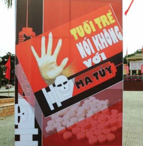 Figure 1. Young people say no to illicit drugs