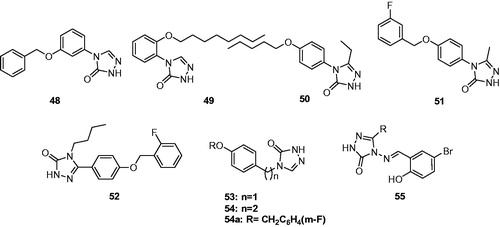 Figure 9. Substituted triazolones (48–55).