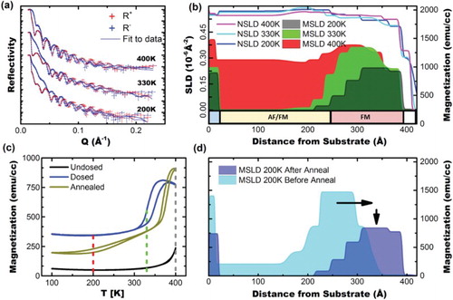 Figure 3. (a) PNR reflectivities of a gradient-dosed FeRh sample (same as from Figure 2(b,c)) after a 3 h 400 K anneal taken at the same temperatures. Blue lines show fits to the data. Overlaid red and blue error bars show positive and negative neutron polarizations, respectively. (b) MSLD and NSLD depth profiles extracted from fits to data shown in (a). (c) SQUID data showing comparison of irradiated FeRh film before and after annealing. Dashed lines indicate temperatures at which PNR in Figure 3(b) were performed (d) 200 K comparison of SLD and MSLD depth profiles before and after anneal. Arrows show migration of an FM region to the surface of the sample and decrease in magnetization magnitude, as the irradiation-induced defects are being annealed.