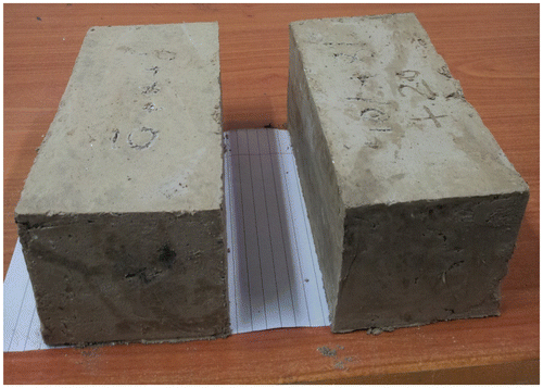 Figure 11. Photograph of laboratory casted bricks.