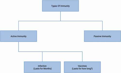 Figure 1. Types of Immunity