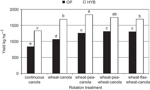 Fig. 3. Yield of each canola cultivar (OP and HYB) for each rotation treatment. Data are the means of 16 site-years (Melfort 2000–2006 and Scott 1999–2007). Standard error of mean = 184. Bars with the same letter are not significantly different at P ≤ 0.05 according to Fisher's LSD test.