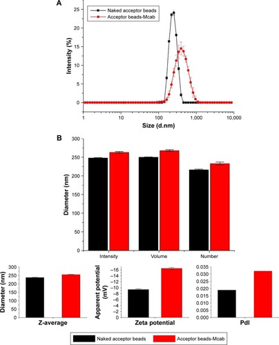 Figure 3 Physical properties of acceptor beads.Notes: (A) Size distribution of naked acceptor beads and conjugated acceptor beads. (B) DLS data of naked acceptor beads and conjugated acceptor beads.Abbreviations: DLS, dynamic light scattering; PdI, polydispersity index.