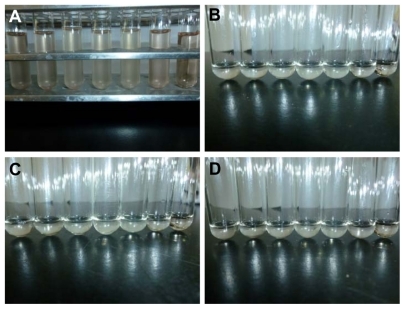 Figure 12 The results of hemolysis test of the novel chitosan/vitamin E succinate copolymer at different time intervals. The five tubes from the left were copolymer samples, the sixth was negative control and the last was positive control. At: (A) 0 hours, (B) 1 hour, (C) 2 hours, and (D) 3 hours.