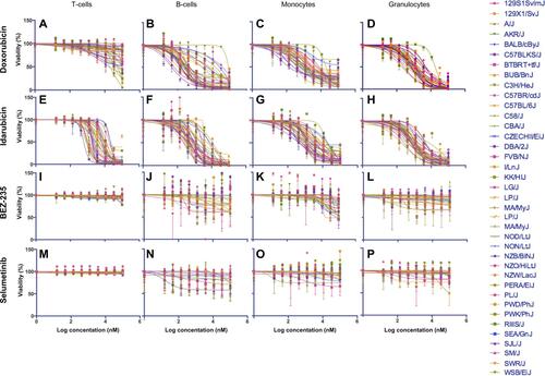 Figure S2 Interstrain variation of viability across immune cell types and anticancer drugs.Notes: Dose-response curves depict cell populations (columns, ie, T-cells [A, E, I, and M], B-cells [B, F, J, and N], monocytes [C, G, K, and O], and granulocytes [D, H, L, and P]) exposed to anticancer drugs (rows, ie, doxorubicin [A-D], idarubicin [E-H], BEZ-235 [I-L], and selumetinib [M-P]). Thirty-six strains are included: 129S1/SvImJ, 129X1/SvJ, A/J, AKR/J, BALB/cByJ, BTBR T+ Itpr3tf/J, BUB/BnJ, C3H/HeJ, C57BLKS/J, C57BL/6J, C57BR/cdJ, C58/J, CBA/J, CZECHII/EiJ, DBA/2J, FVB/NJ, I/LnJ, KK/HiJ, LG/J, LP/J, MA/MyJ, NOD/LtJ, NON/LtJ, NZB/BINJ, NZO/HiLtJ, NZW/LacJ, PERA/EiJ, PL/J, PWD/PhJ, PWK/PhJ, RIIIS/J, SEA/GnJ, SJL/J, SM/J, SWR/J, and WSB/EiJ.Abbreviations: AUC, area under the curve; IC50, half maximal inhibitory concentration.